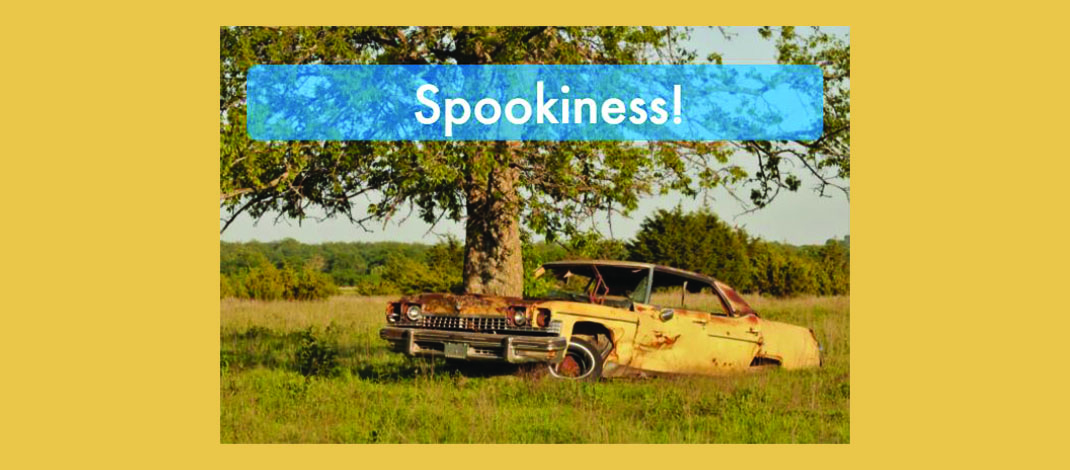 picture of an old car next to a tree.